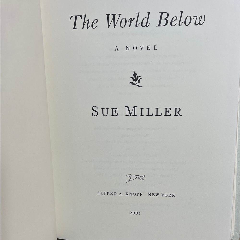The World Below by Sue Miller Hardcover